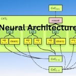 Neural Architecture