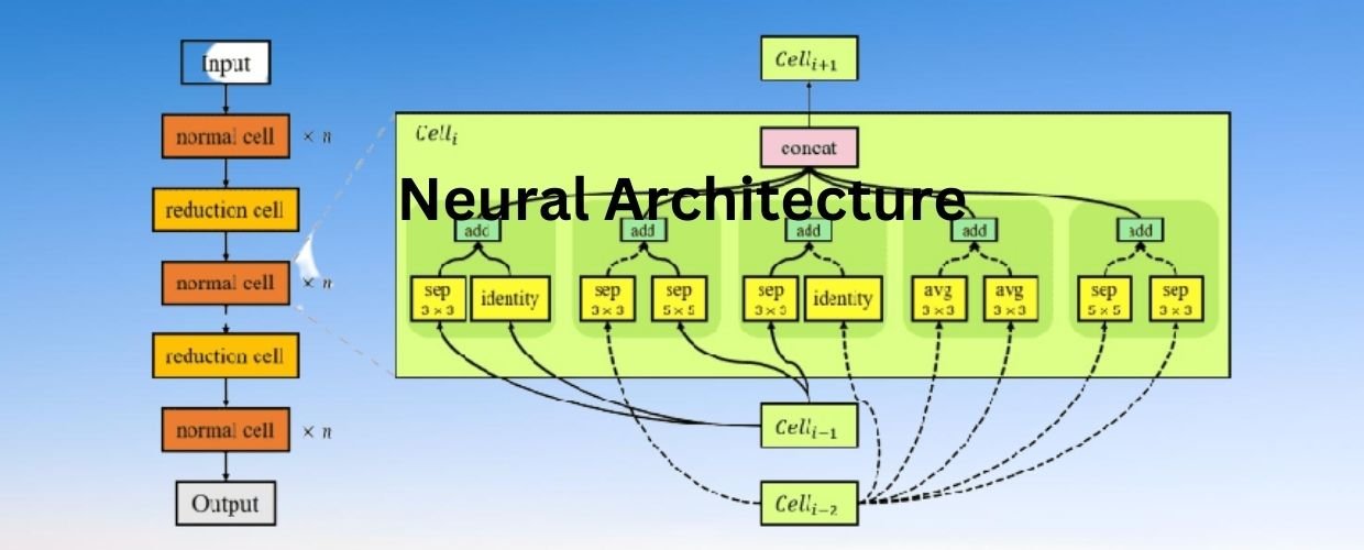 Neural Architecture