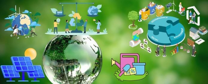 Sustainability and Environmental Impact on Digital Transformation