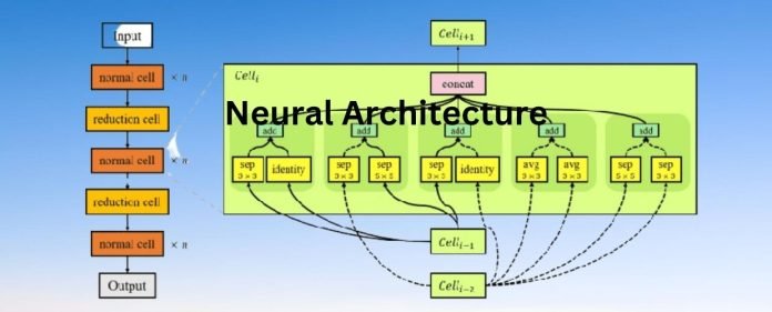 Neural Architecture