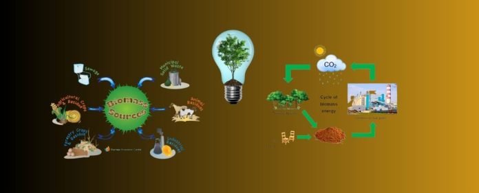 Biomass Energy Harnessing Nature's Potential for Sustainable Power